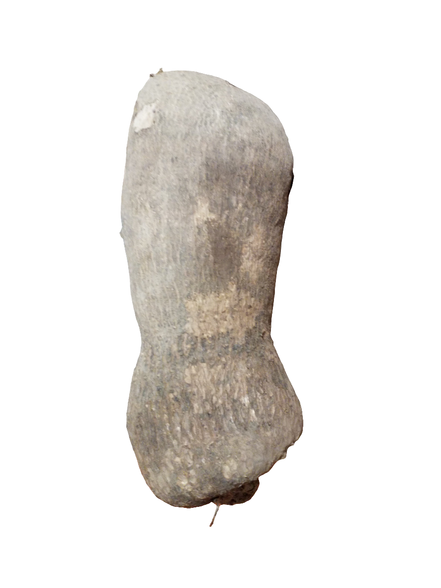 YAM