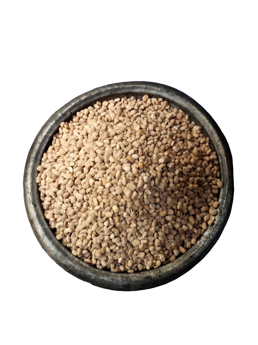 HONEY BEANS/ OLOYIN BEANS
