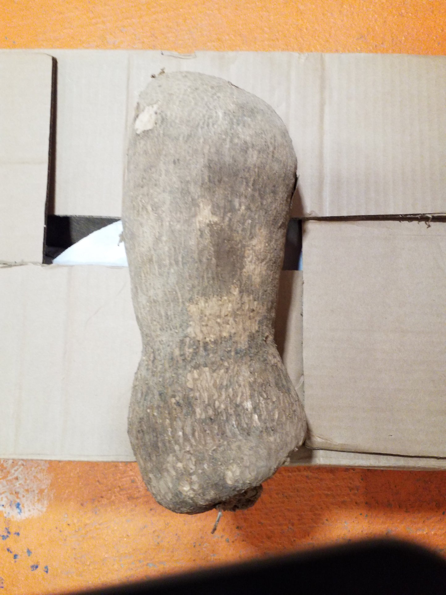 YAM