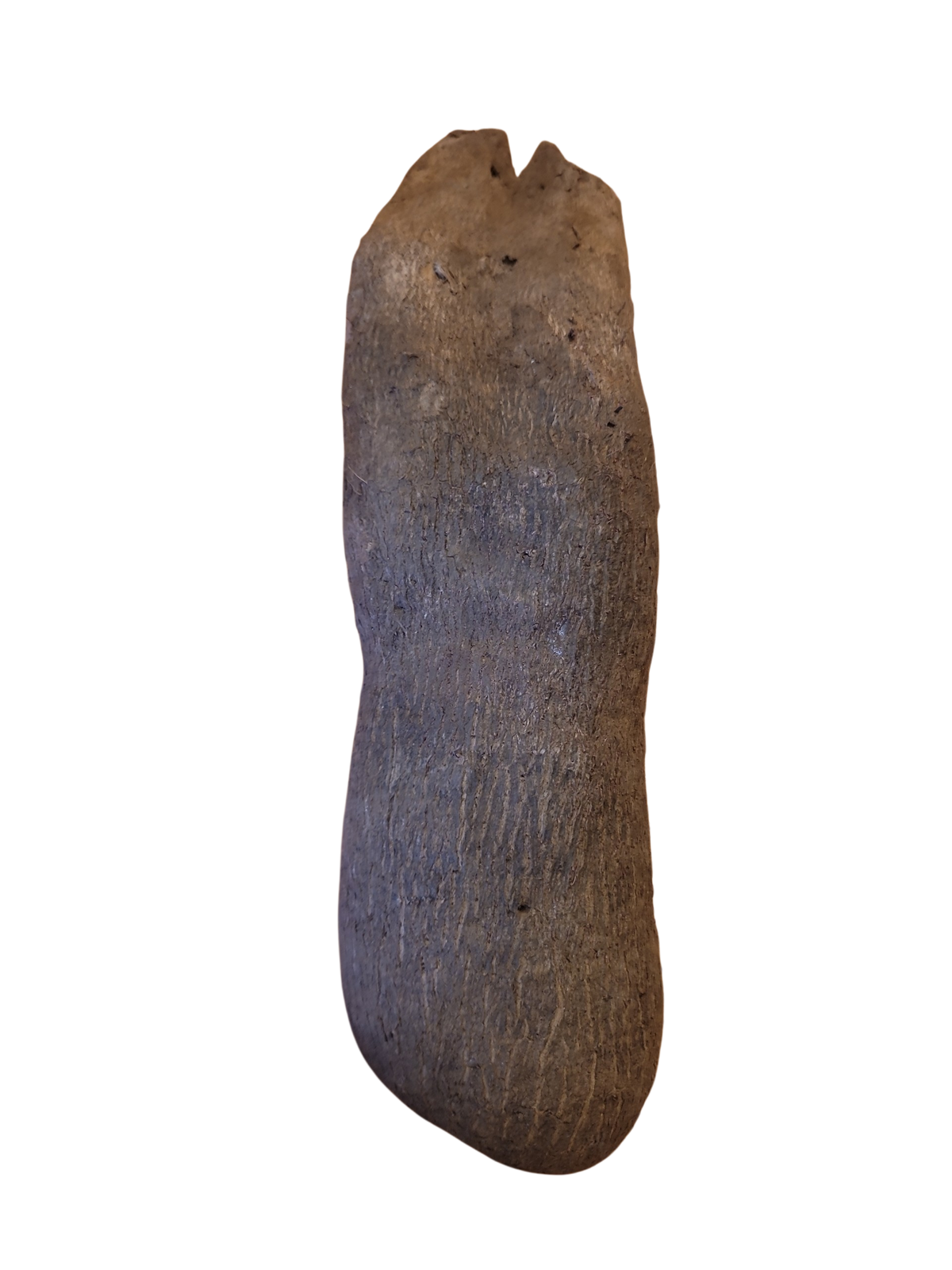 Yam