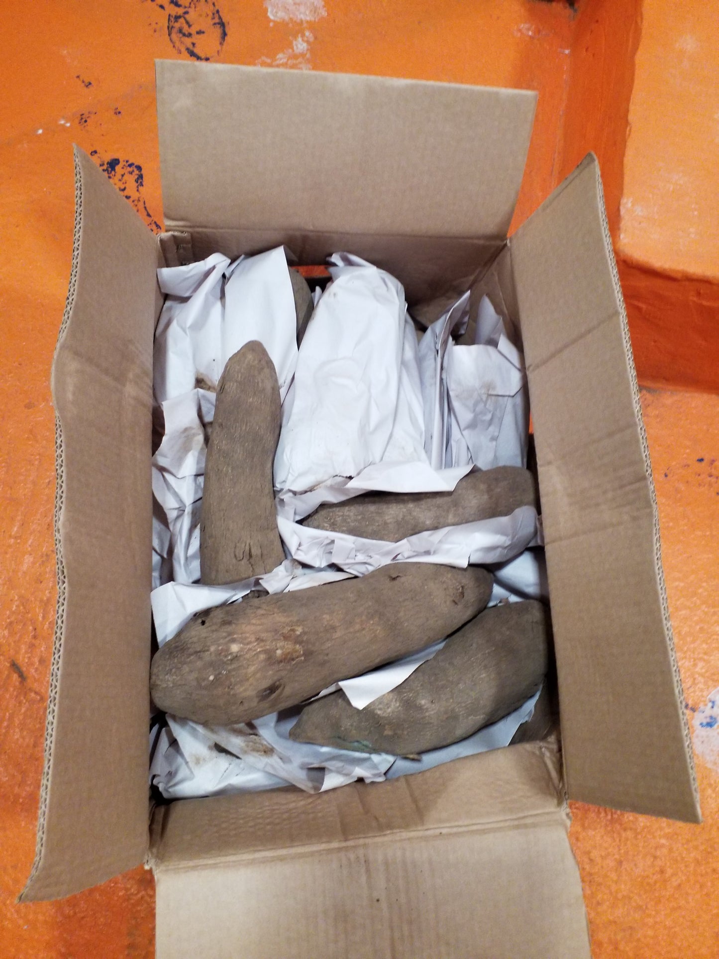 YAM PRODUCTS