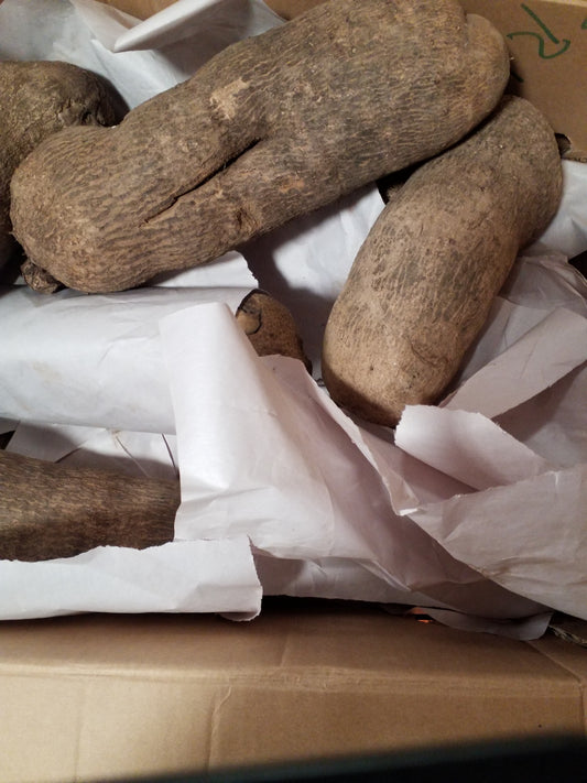 YAM