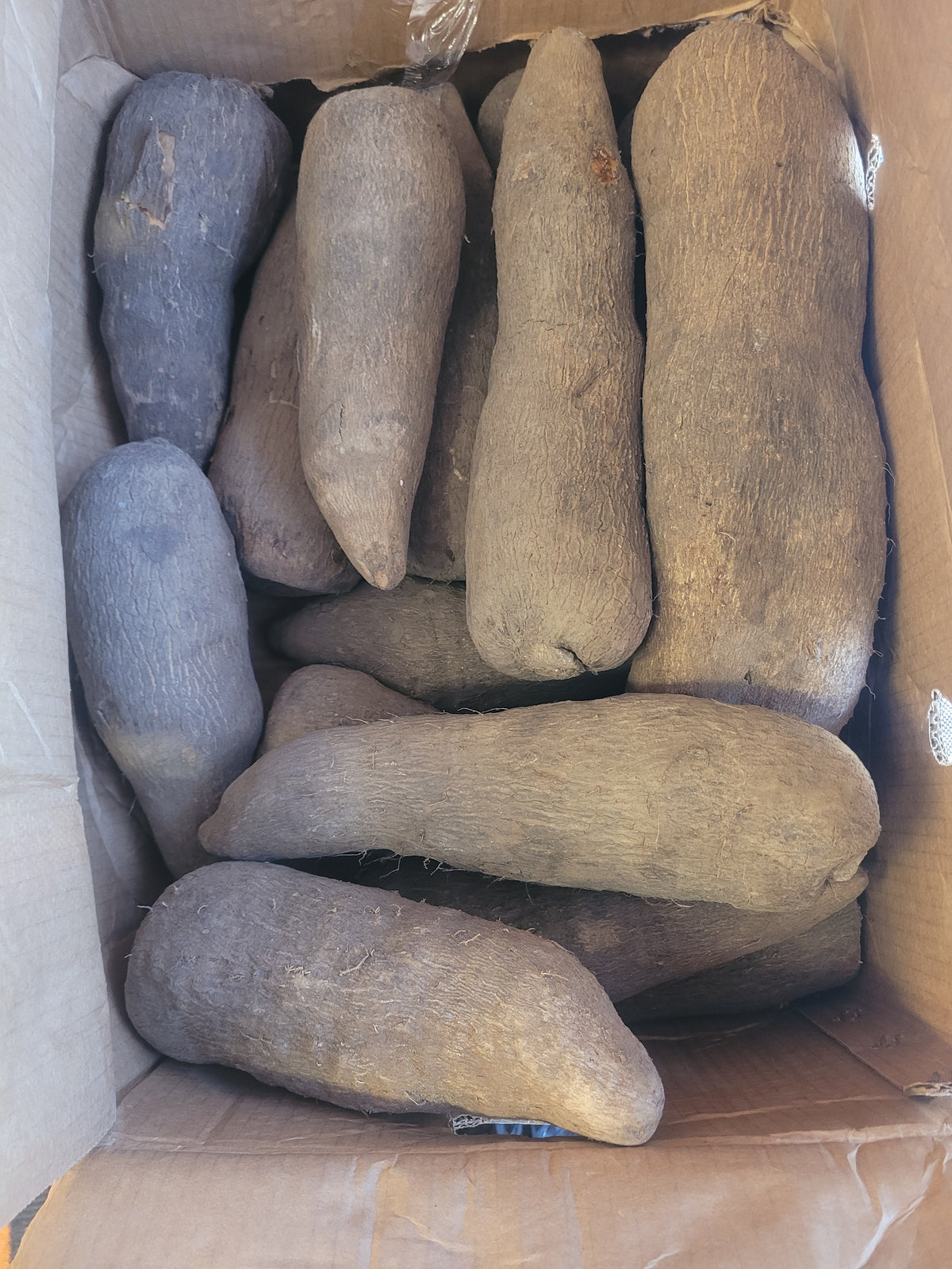 Yam