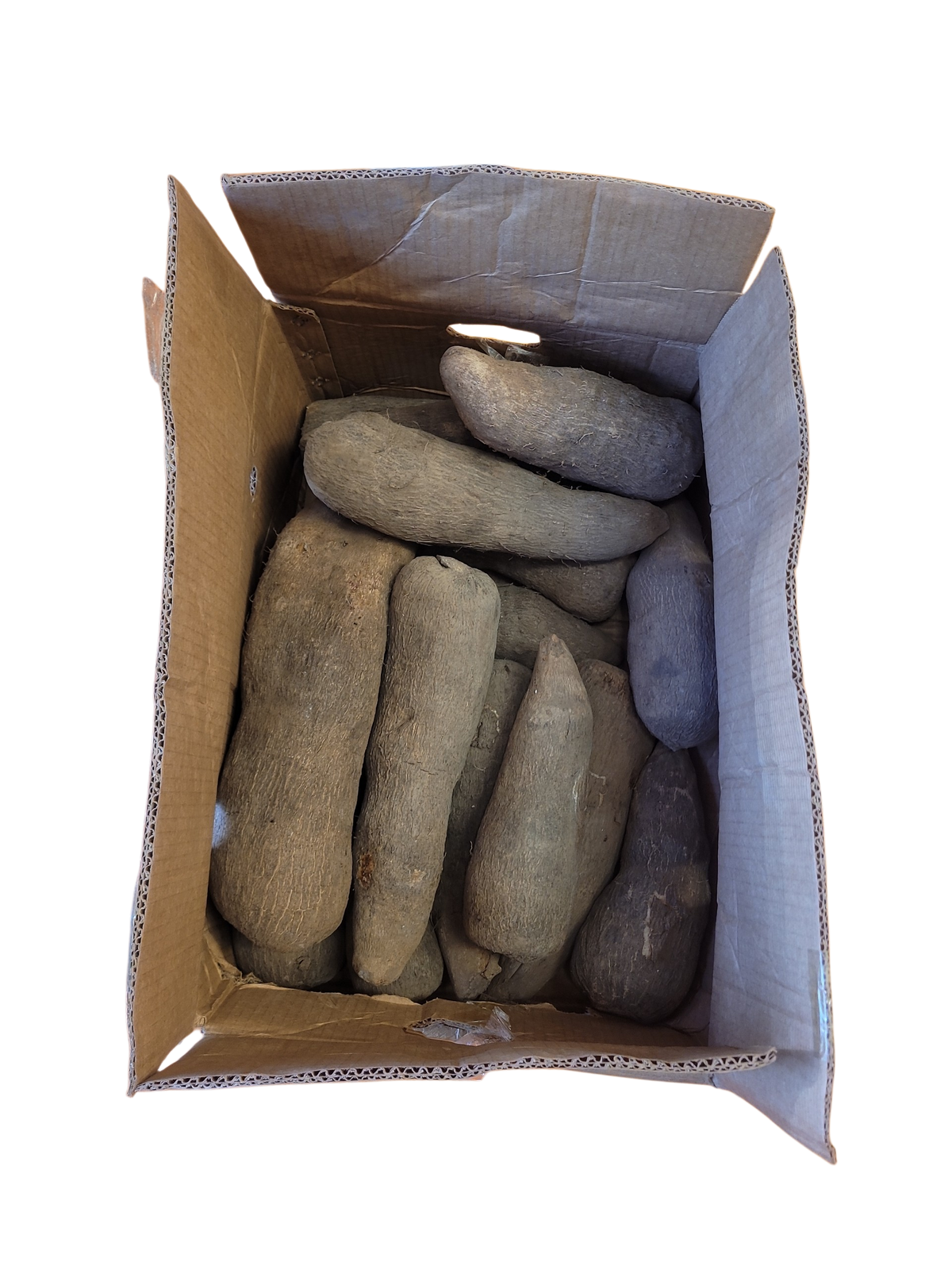Yam